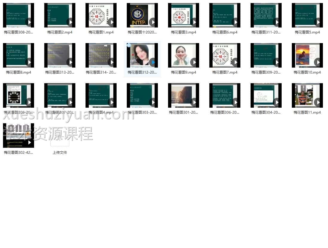 黄石易2020年梅花看图视频25集 百度云插图