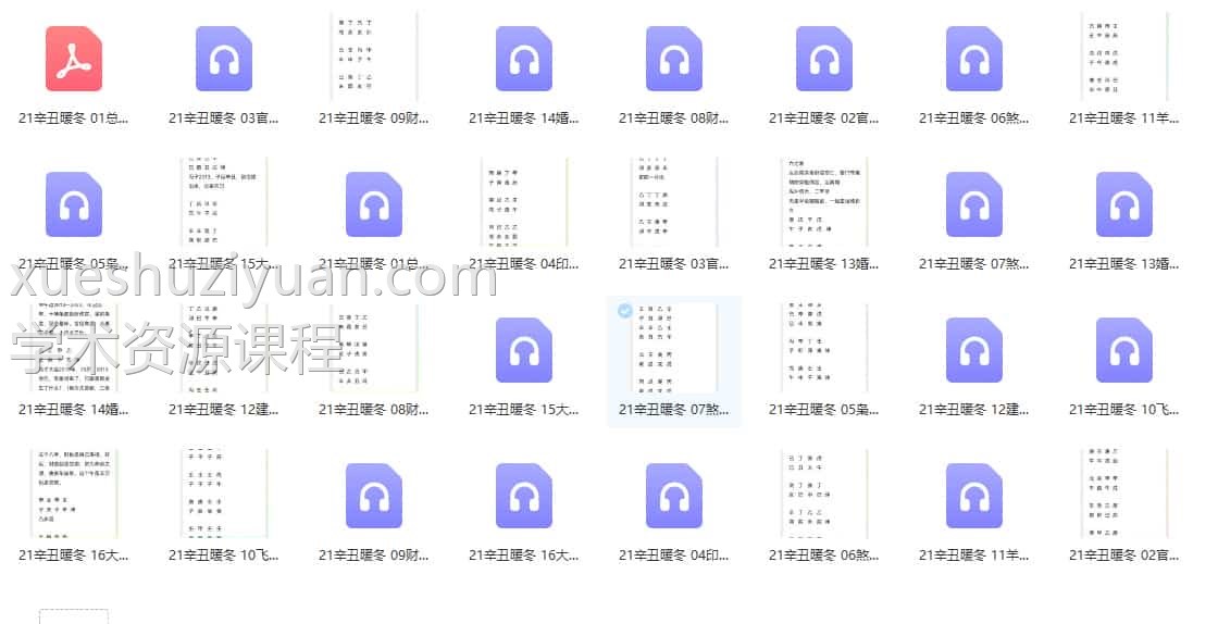 素水八期2021冬季录音+资料pdf 百度盘下载插图