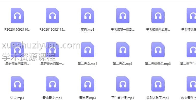 单老师八字面授命理课录音30集百度网盘插图