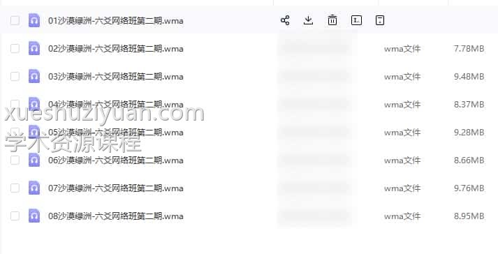 沙漠绿洲 六爻网络班录音第二期8节约5小时插图