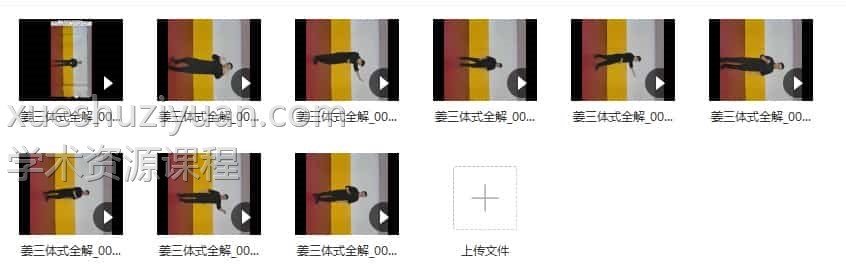 姜书洋-三体式全解2200等15视频合集插图