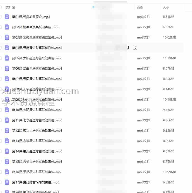 猪猪金水 紫微斗数财富专题课 音频 21节插图