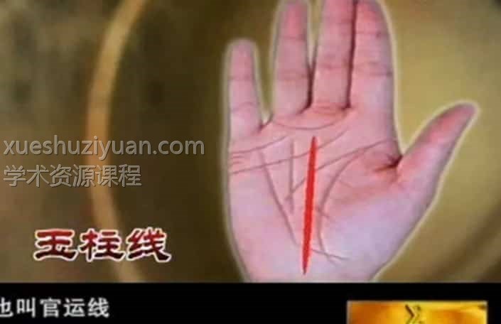 王晨霞-掌纹的秘密教程视频14集插图