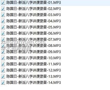 陈国日-新派八字讲课录音14讲视频下载插图