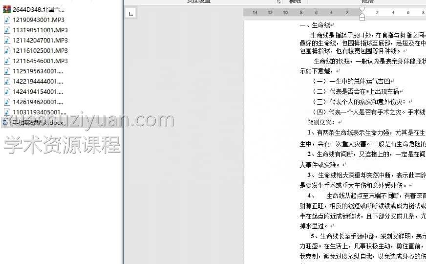 北国雪手相课程 10个音频+1文档插图