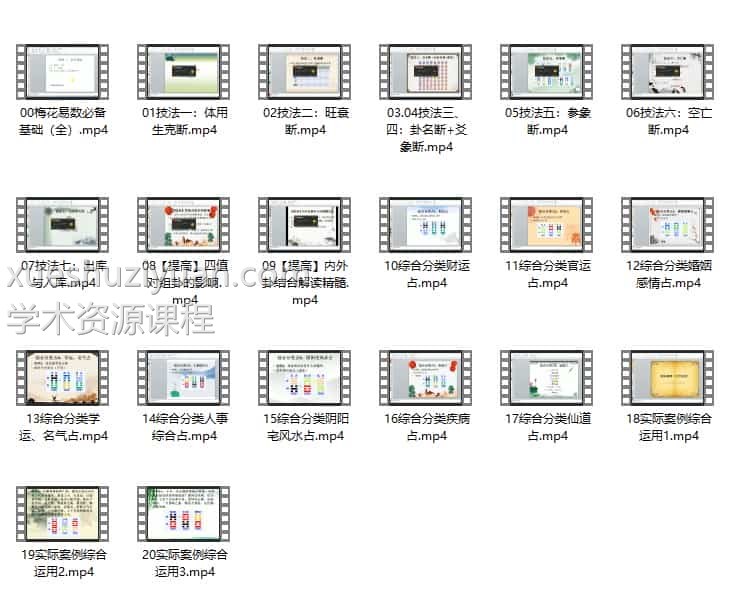 仙扑门-梅花分类占视频合集插图