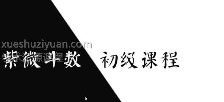 肖贞正紫薇斗数初中级视频23集插图