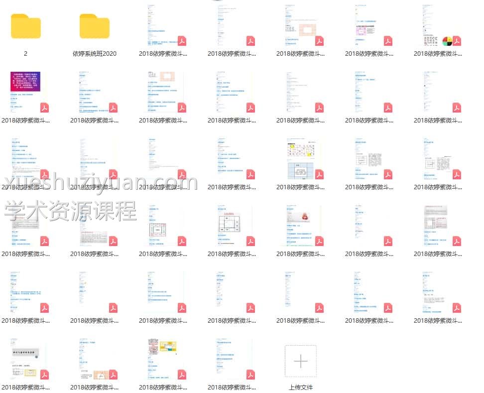 依婷紫微系统班  依婷紫微斗数2022系统班讲课记录+pdf课件插图