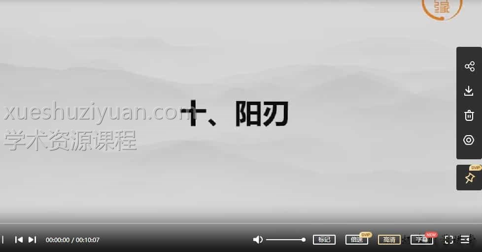 王炳森八字神煞精讲系列课程视频20集插图