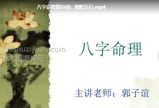郭子谊讲八字命理实战应用插图