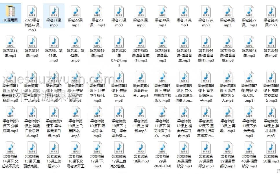 梁若瑜老师2020年紫微斗数开班 50课插图