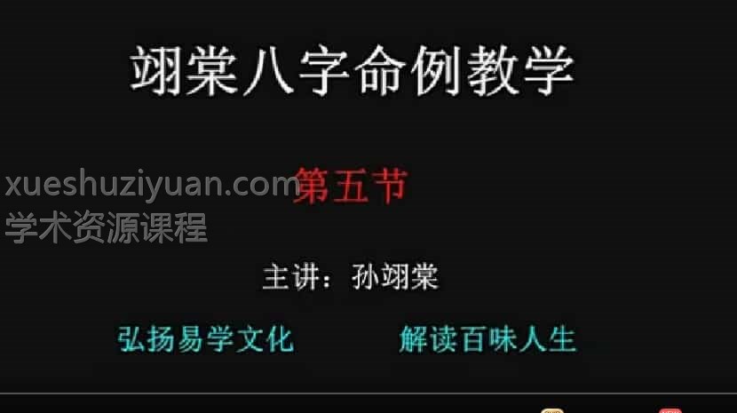 翊棠新派八字 翊棠新派八字基础篇14集+实战篇11集+文档插图