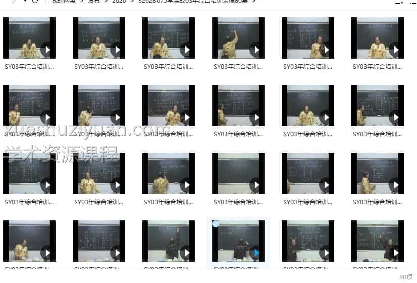 李洪成2003年综合培训录像80集插图