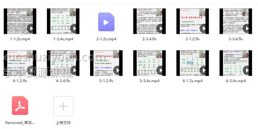 李洪成2013癸巳年大宗易四柱高级专家级课程+秘传插图