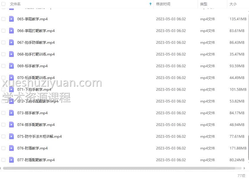 李小龙三代传人亲授截拳道（核心秘技）77课时高清视频插图1