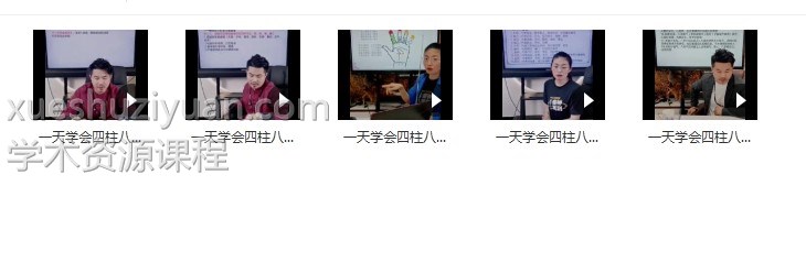 夏光明一天学会四柱八字5集视频插图