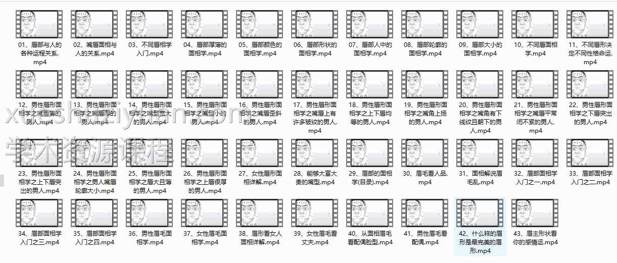 丽莎老师面相解读43集视频课程插图