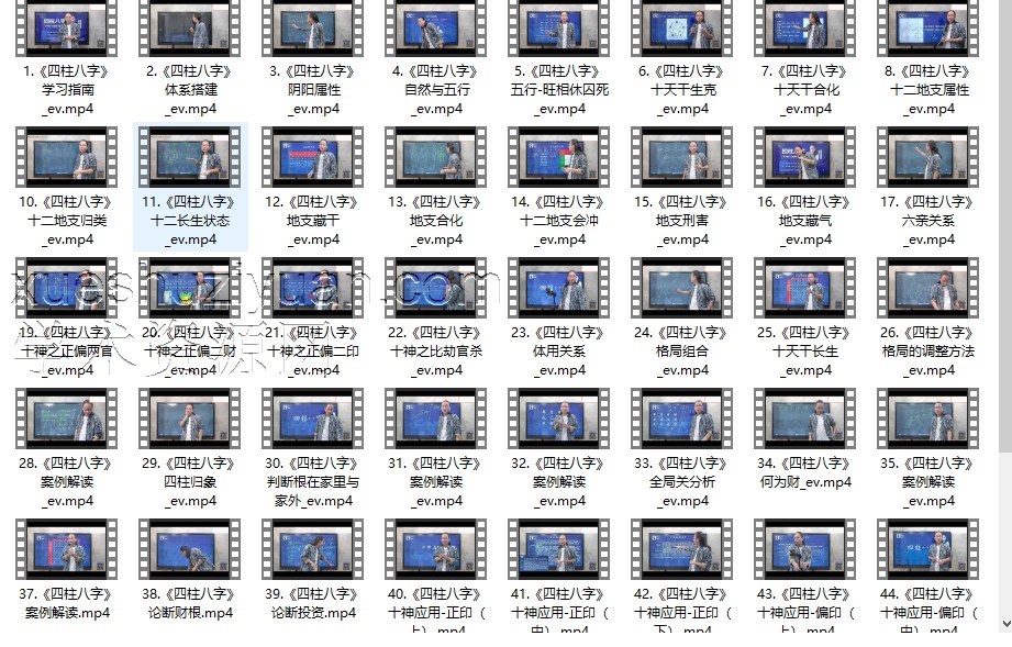 【赵公禹竹·四柱八字】视频60集插图
