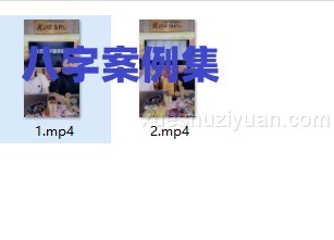 陈啸哲老师&赵璟雯老师¥986《变态八字案例集》2集插图